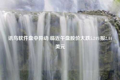 讯鸟软件盘中异动 临近午盘股价大跌5.24%报2.44美元