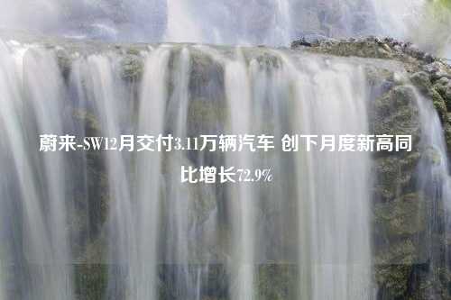 蔚来-SW12月交付3.11万辆汽车 创下月度新高同比增长72.9%