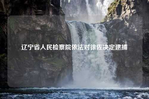 辽宁省人民检察院依法对徐佐决定逮捕