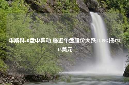 华斯科-B盘中异动 临近午盘股价大跌11.19%报475.15美元