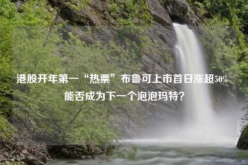 港股开年第一“热票”布鲁可上市首日涨超50% 能否成为下一个泡泡玛特？