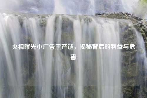 央视曝光小广告黑产链，揭秘背后的利益与危害