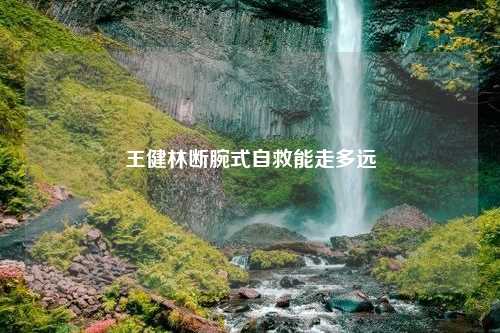 王健林断腕式自救能走多远