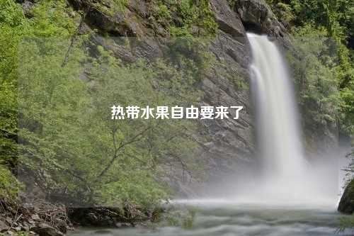热带水果自由要来了