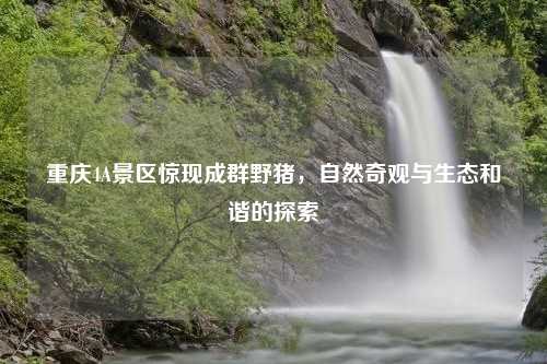 重庆4A景区惊现成群野猪，自然奇观与生态和谐的探索