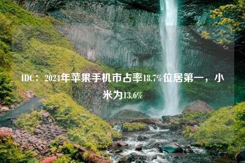 IDC：2024年苹果手机市占率18.7%位居第一，小米为13.6%