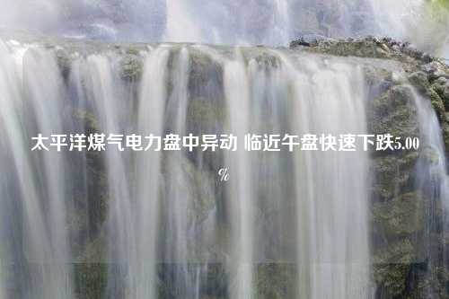 太平洋煤气电力盘中异动 临近午盘快速下跌5.00%