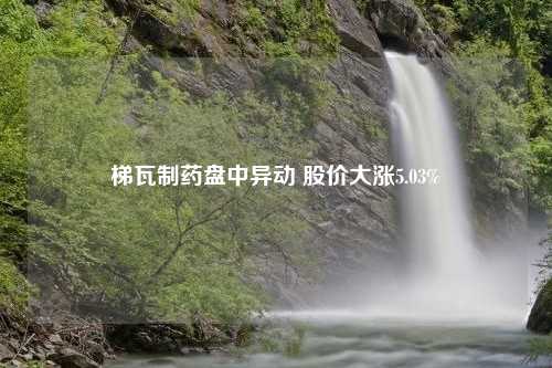 梯瓦制药盘中异动 股价大涨5.03%